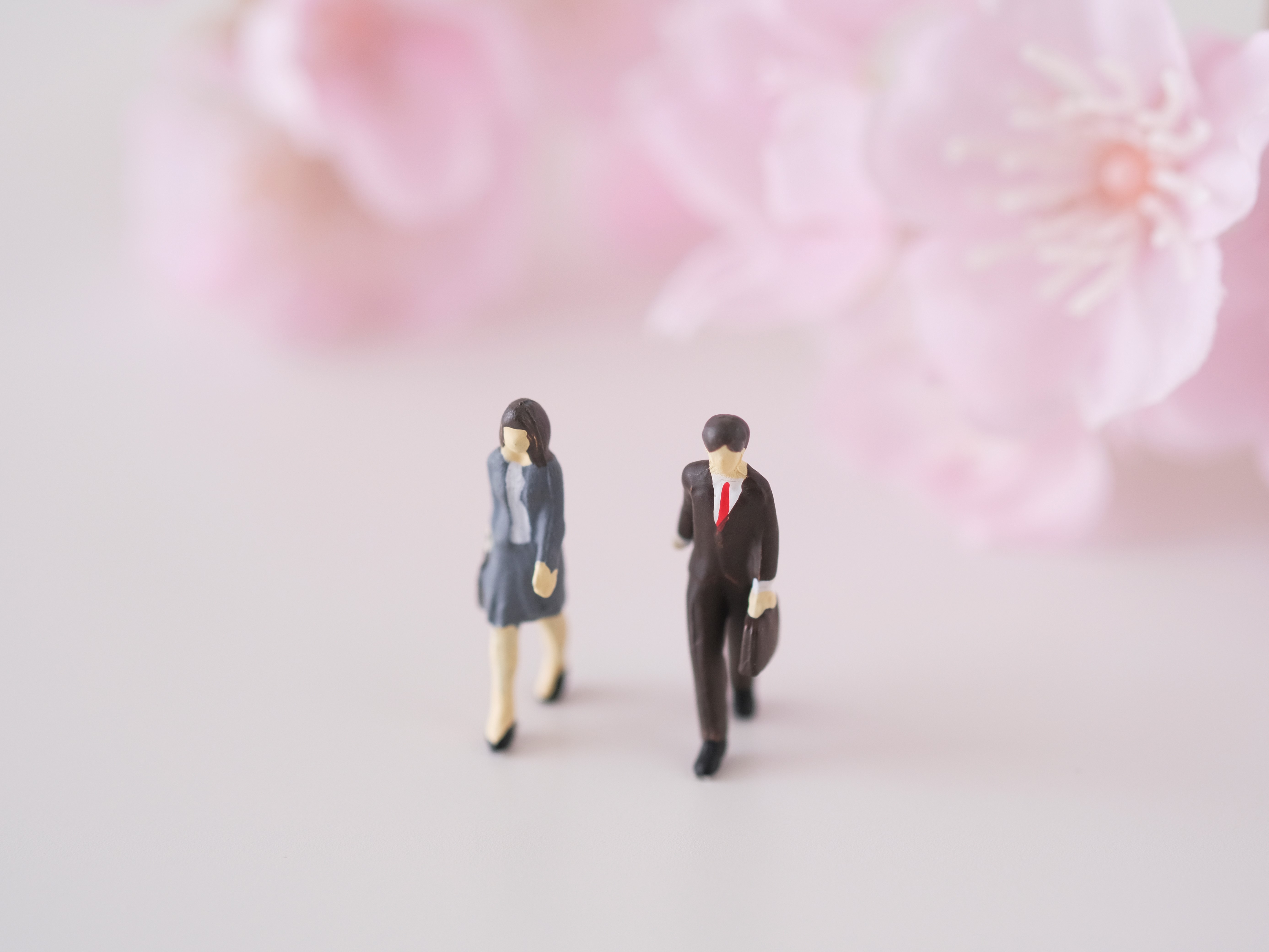 新入社員