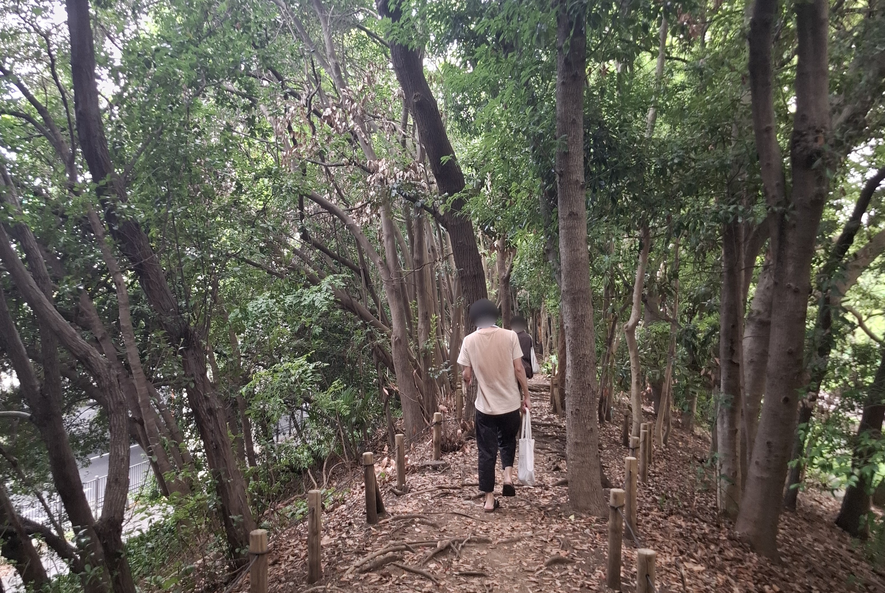 公園散策②